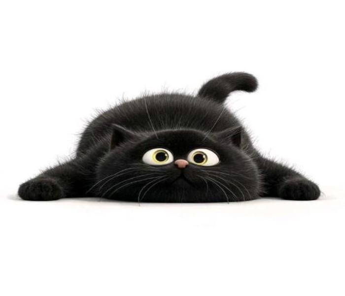 Ảnh avatar mèo đen cute