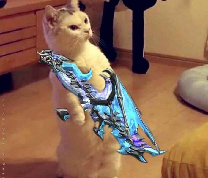 Avatar mèo cầm súng cute