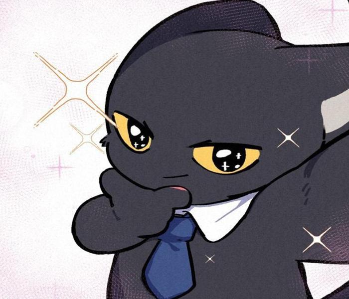 Hình avatar mèo cosplay cute