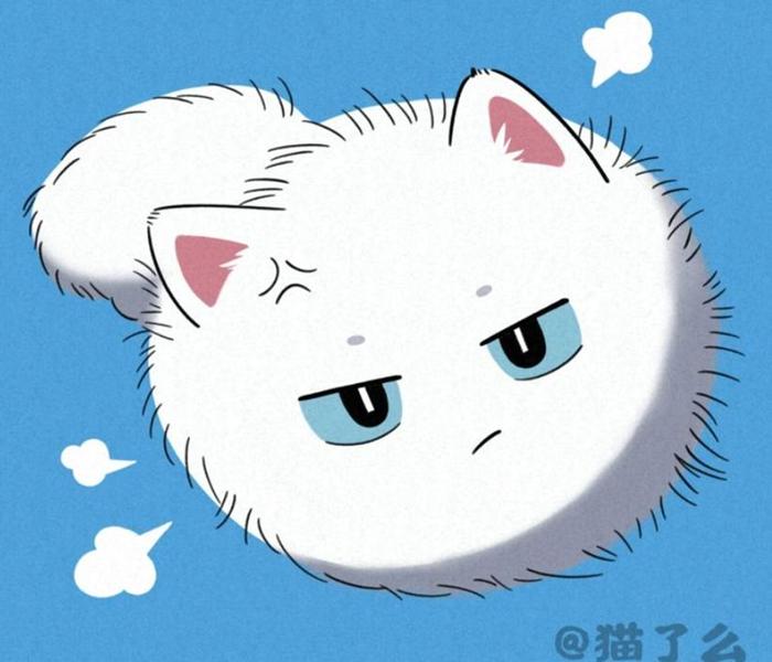 Ảnh đại diện mèo anime đáng yêu