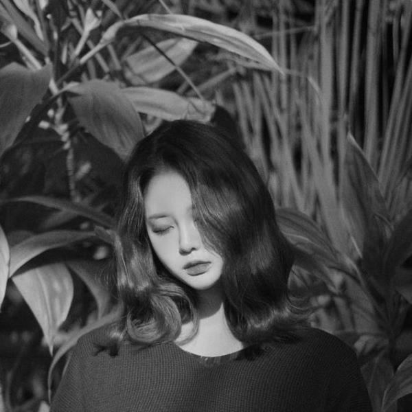 [Avatar FB Nữ] 222+ Gợi Ý Hình Ảnh Đại Diện Facebook Tỏa Sáng Cá Tính Nữ
